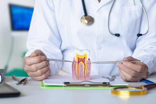Best Cosmetic Emergency Dentistry in Long Creek, IL